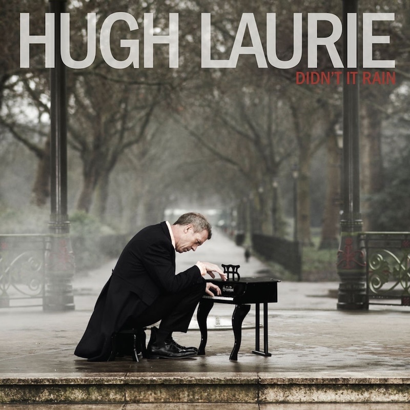 Didn't It Rain by Hugh Laurie